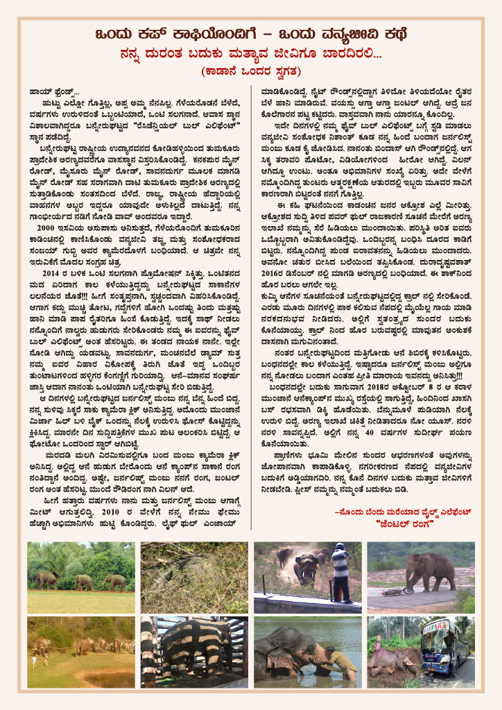 1772189917990-c5ff9c1f-5158-4d30-b67d-947a975910fc_10