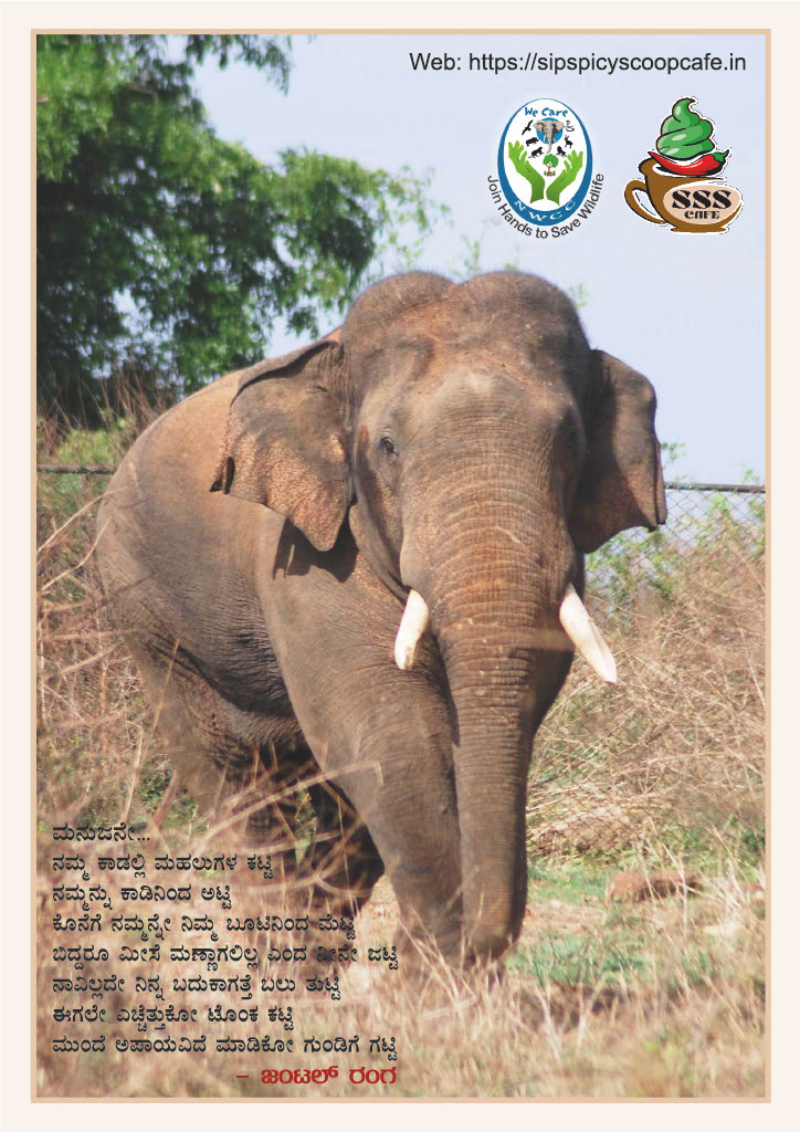 1772189917990-c5ff9c1f-5158-4d30-b67d-947a975910fc_9